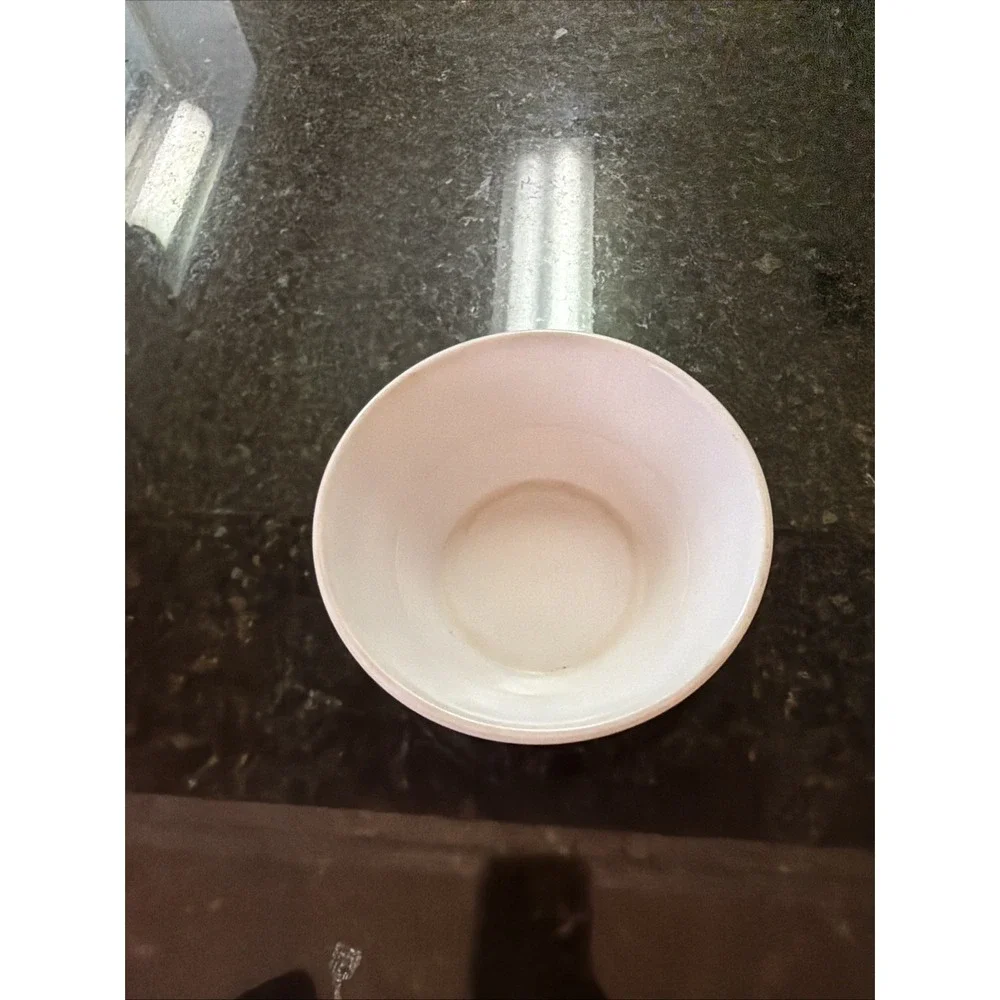 Tony The Tiger Kelloggs Frosted Flakes Retro Collectible Plastic Cereal Bowl
